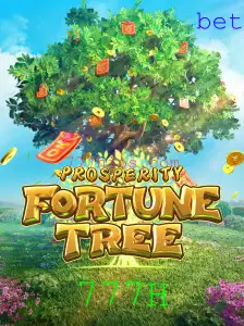 Descubra o Jogo 